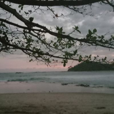 InneMeilia's profile picture. 