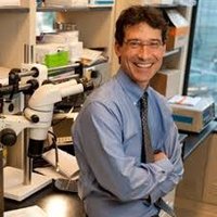 Seward Rutkove Laboratory (@rutkoveseward) Twitter profile photo