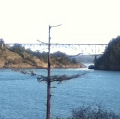 1angel2sebas's profile picture. 