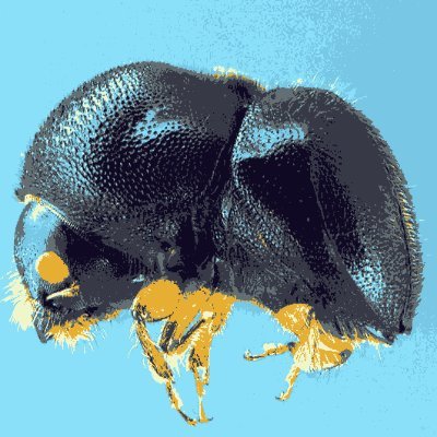 cnestus's profile picture. RIP to all the beasts
https://t.co/zXBd6sk2EA