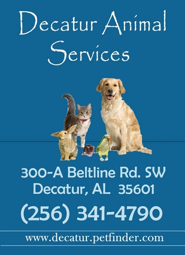 Decatur Animal Services mission is to improve the bond between humans and animals and to promote humane treatment of animals and respect for life.