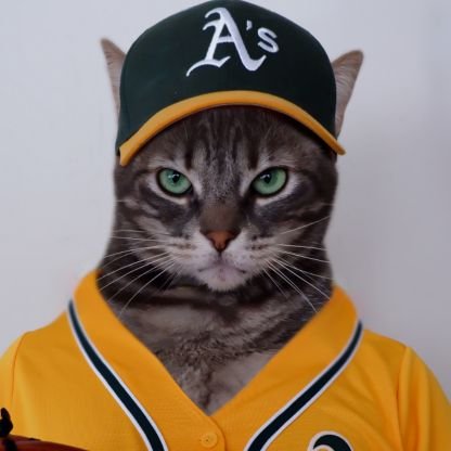 baseball twitter meets cat twitter
#letsgooakland