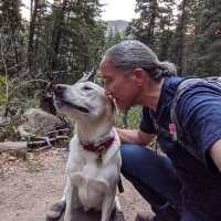 Kevin Bae (@moderatemethod) 's Twitter Profile