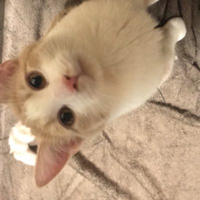 mac_becs's profile picture. 19, 420. ~Live your best life today, cuz tomorrow is never promised~