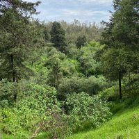 rescate_barrancas_poniente (@rescateponiente) 's Twitter Profile Photo rescate_barrancas_poniente (@rescateponiente) 's Twitter Profile Photo