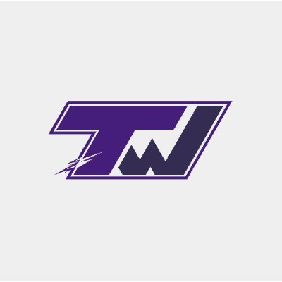 📧 collabtwincy@gmail.com / contact@twincy.fr
@Twitch Partner #TWGVNG