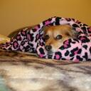 shannon antonio - @shan_nookie - Twitter