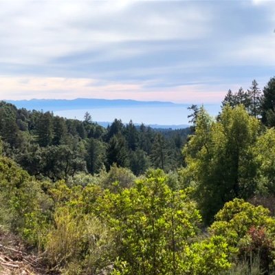 ScottTa54346805's profile picture. Begin