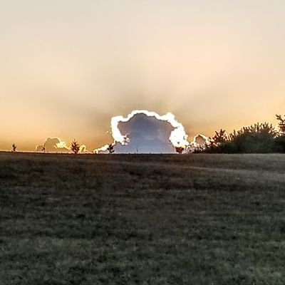 disracteddecent's profile picture. Millennial by birth. Conservative by choice. Cynically sarcastic by nature.