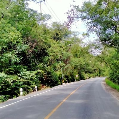 sfx4ecap4QQwRYj's profile picture. 12