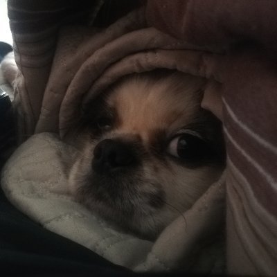 SwartSimonEric's profile picture. snapchat: eeeasy87