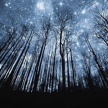 senja_flowr's profile picture. 