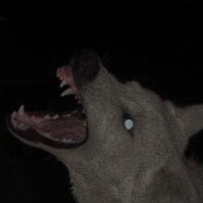 Aaaa2q's profile picture. 