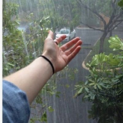 zuzu12346987's profile picture. 