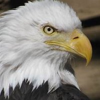 Twilight Zone. We have a corrupt government. 🇺🇸 (@bingwisdom) 's Twitter Profile