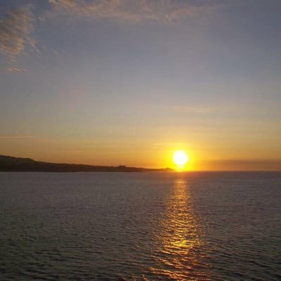 alfavega13's profile picture. 