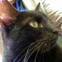 ライ (@hit_u_line) 's Twitter Profile