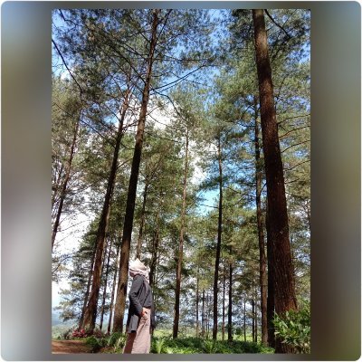 ajeng3005's profile picture. IG : @ajeng3005