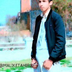 TAHIRQA03083558's profile picture. 