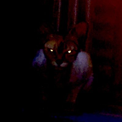 rahul_southpaw's profile picture. An Old School Stoic Observer. ChelseaFC fan.