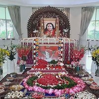 SS (@seemasharma7) 's Twitter Profile
