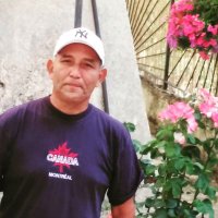 forohipico (@forohipico) 's Twitter Profile