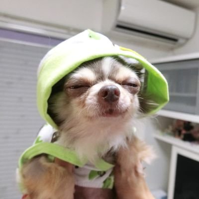 MhareWi's profile picture. Microsoft 365のトレーニングなどを実施しています。
Microsoftの技術に関して交流ができればと思っています。よろしくお願いいたします。