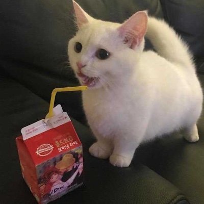 eimikolover's profile picture. uwu