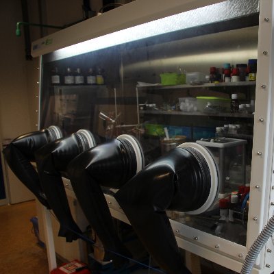 haas_group's profile picture. 