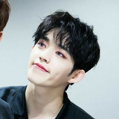 dailycoups's profile picture. for seventeen's #에스쿱스