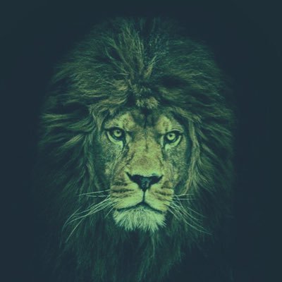 alshehri_1's profile picture. Success is the best revenge