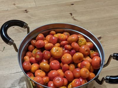 Kg3zvCPmOK5IBap's profile picture. さこだといいます。本日より参戦します。