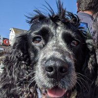 Falmouth Advertising (@creativeadsfal) 's Twitter Profile