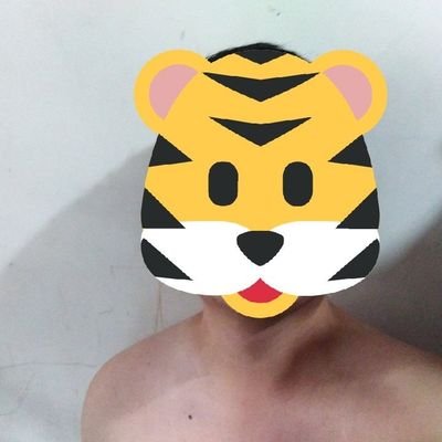 MicoV11's profile picture. Alter | Safe Haven | 🐯 - 🦅|