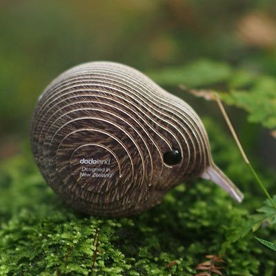 EUGY official Profile