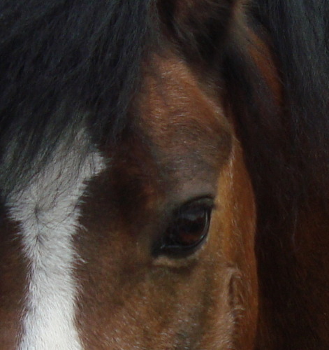 Slattocks's profile picture. 