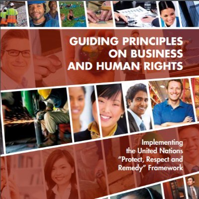 @WGBizHRs project to develop a roadmap for the next decade of implementation of the UN Guiding Principles on #bizhumanrights. #UNGPs10plus #nextdecadeBHR