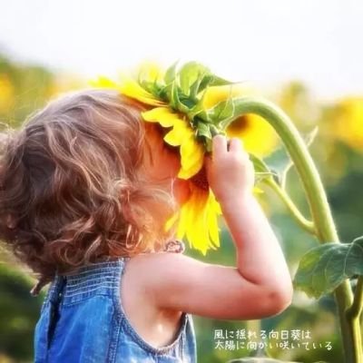 pika3yu's profile picture. ぴかみゅ🙋💛！！ハロプロ！！🤍💚