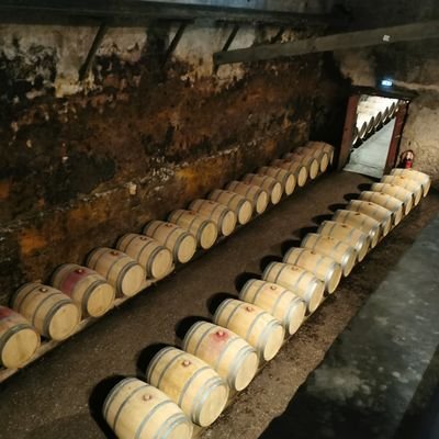 bapt4ever's profile picture. 