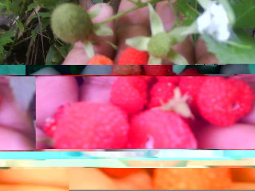 beny_kadir's profile picture. 