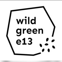 Wild Green E13 (@wildgreene13) 's Twitter Profile