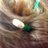 Nat_McTwit's profile image