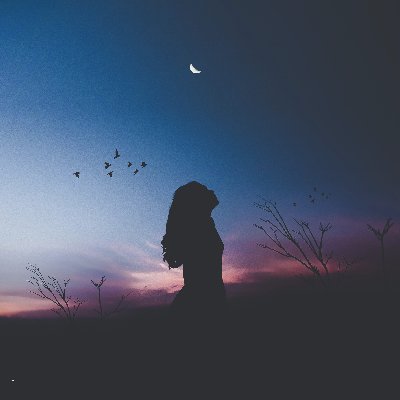 creativelysc's profile picture. SC   //She Codes. She Creates. She Can.
Developing for cultivation, inclusion and change.

@saranohyates