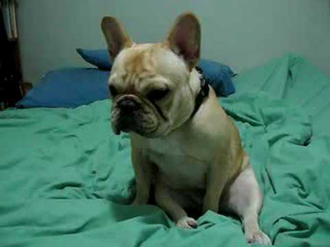 RVMcHugh's profile picture. 