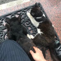 中級ソープ店の遅番スタッフ(非公式) (@syabonkurabu1) 's Twitter Profile
