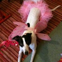 martha (@majoc) 's Twitter Profile