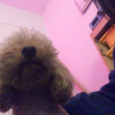 yetanown's profile picture. 