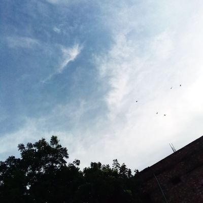 Tanzina49059734's profile picture. iren