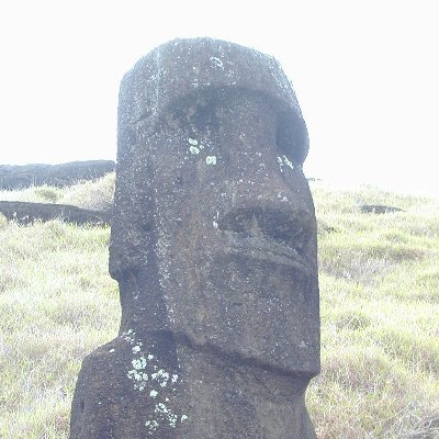 韮山ひかげさんのプロフィール画像