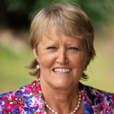 Professor Dame Sue Hill